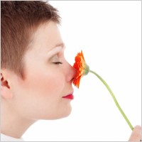 www.all-free-download.com