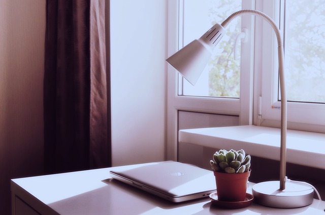 Even a small potted plant will bring life to your natural home