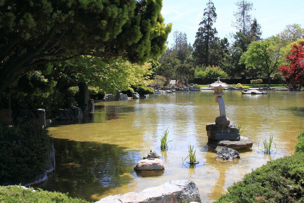 Your home Japanese Tea Garden might not be as impressive as this one, but it can add life to your home nonetheless