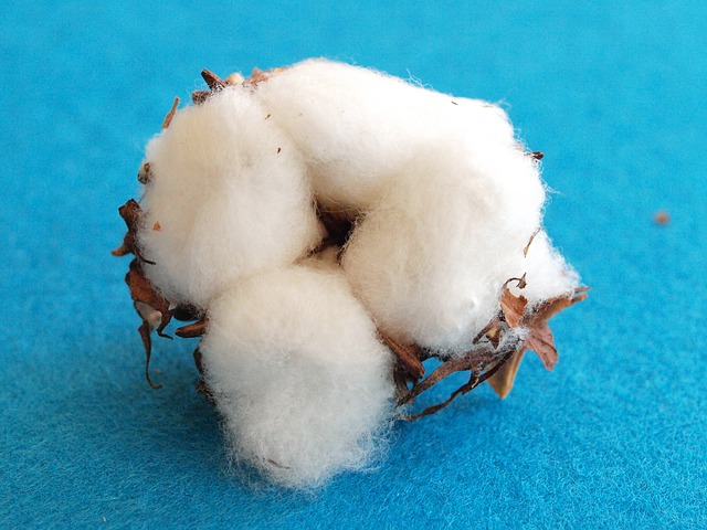 Natural Cotton